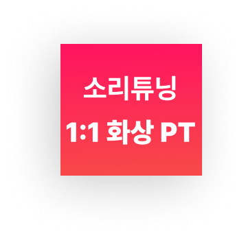 [재구매용] 소리튜닝 1:1 화상 PT (4회)